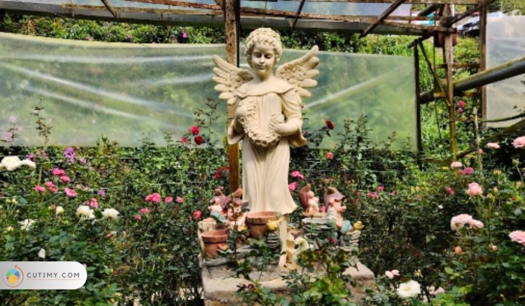 11 Senarai Tempat Menarik di Tanah Rata Viral 7 Imej Tempat Menarik di Tanah Rata, Rose Valley