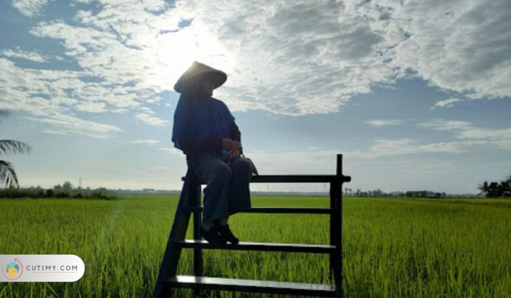 7 Tempat Menarik di Tanjung Karang yang Menakjubkan 4 Imej Trem Chelurut