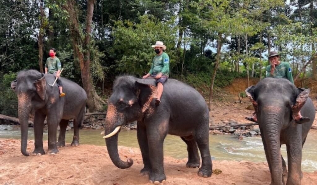 Imej Kenyir Elephant Conservation Village (KECV)